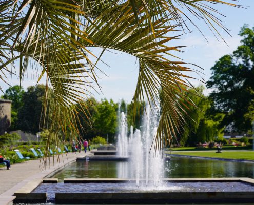 Ein Blick durch die Palme auf die Wasserachse im egapark mit hohen Fontainen der Springbrunnen