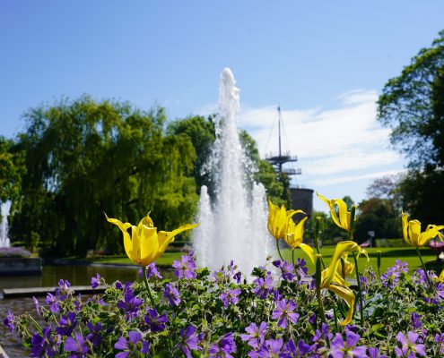 Im Vordergrund Veilchen zu sehen, im Hintergrund ein Springbrunnen der Wasseracvhse im egapark. Dahinter grüne Weiden und der Aussichtsturm des egapark.